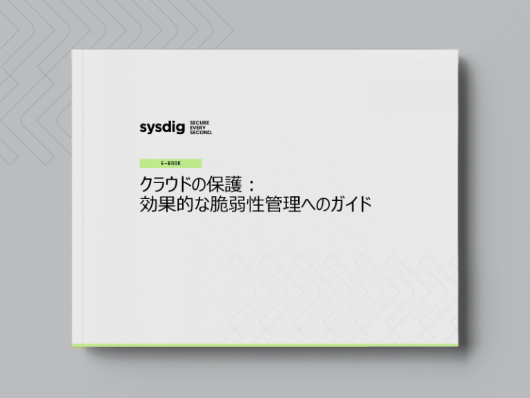 クラウドの保護：効果的な脆弱性管理へのガイド