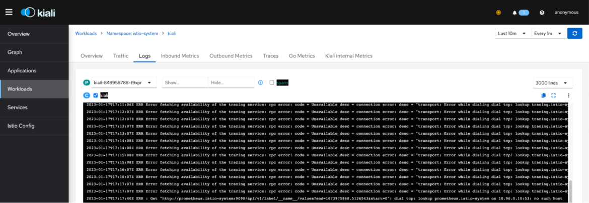 image_tooltip Kaili web console workloads tab